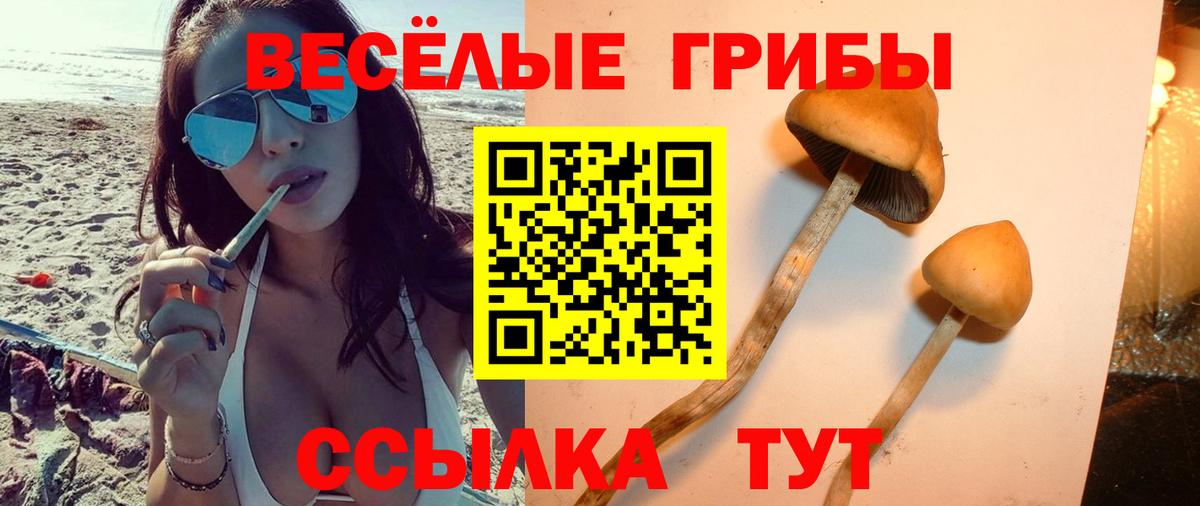 Галлюциногенные грибы GOLDEN TEACHER  Вход с VPN  Псилоцибиновые грибы мухоморы  Ефремов 